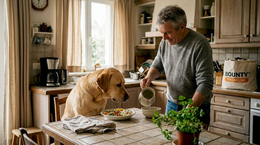 5 conseils pour gérer la digestion du chien naturellement - Bounty Premium – Compléments pour chiens