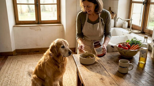 Exemples de suppléments canins naturels pour chiens 2026 - Bounty Premium – Compléments pour chiens