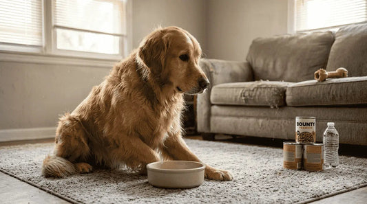 Liste des nutriments essentiels pour chiens en 2026 - Bounty Premium – Compléments pour chiens