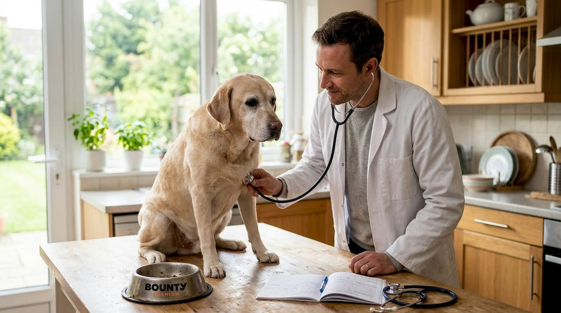 Nutraceutique canine : principes, usages et conseils - Bounty Premium – Compléments pour chiens