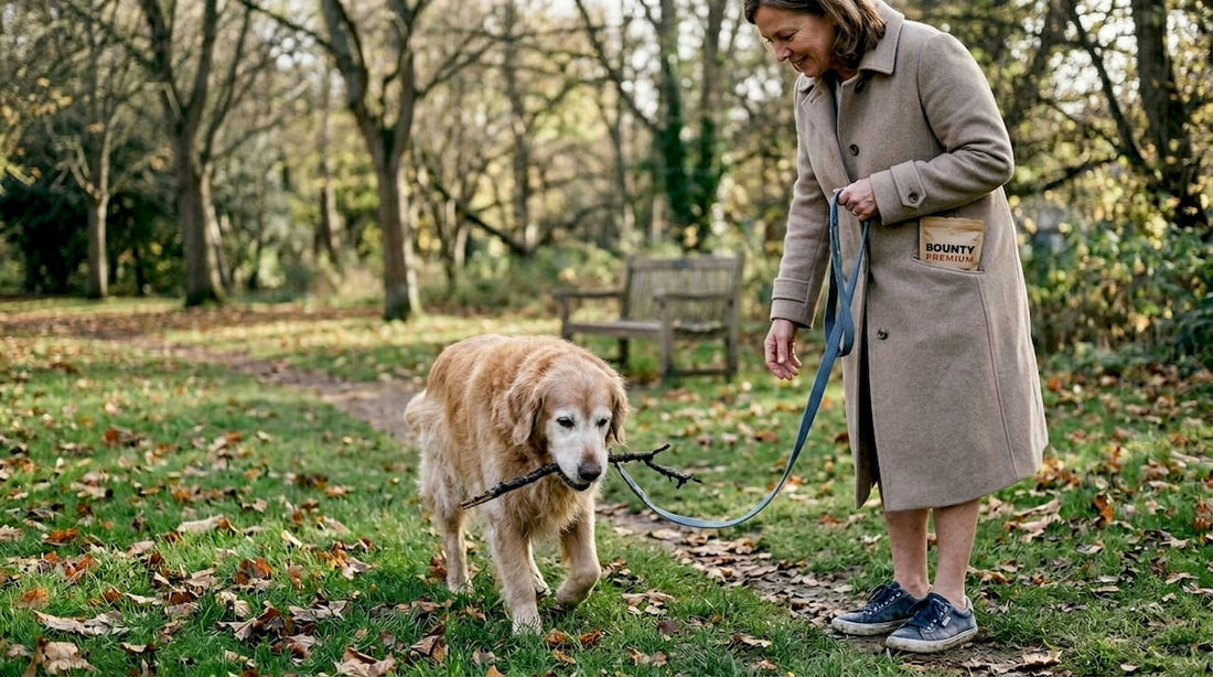 Pourquoi soutenir les articulations des chiens seniors - Bounty Premium – Compléments pour chiens