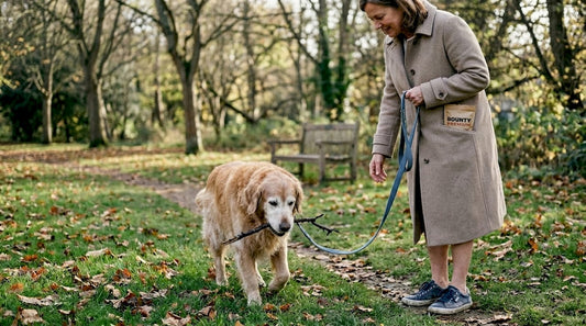 Pourquoi soutenir les articulations des chiens seniors - Bounty Premium – Compléments pour chiens