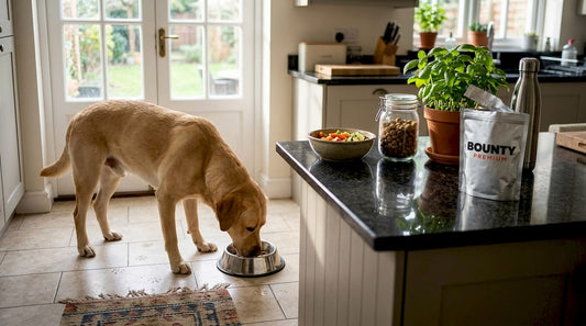 Pourquoi un microbiote sain améliore la santé du chien - Bounty Premium – Compléments pour chiens