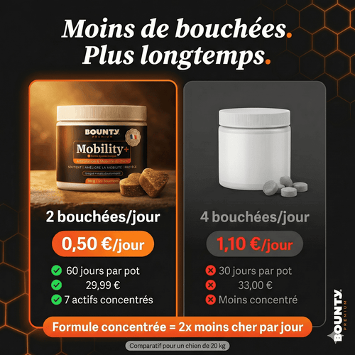 Mobility+ – Complément articulaire pour chien | Mobilité & confort des articulations