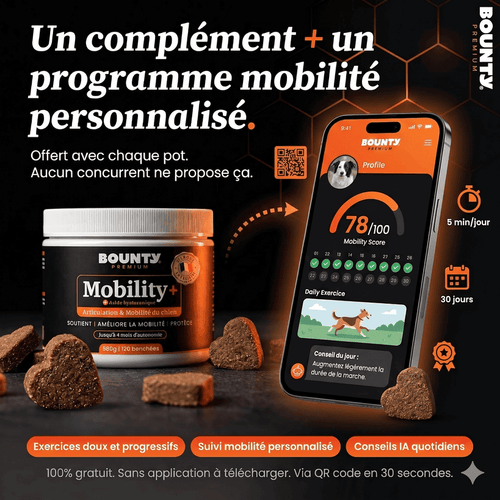Mobility+ – Complément articulaire pour chien | Mobilité & confort des articulations