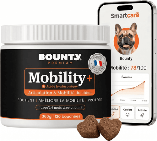 Mobility+ – Complément articulaire pour chien | Mobilité & confort des articulations