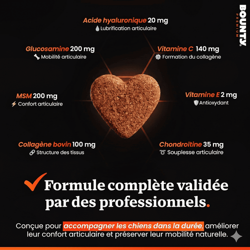 Mobility+ – Complément articulaire pour chien | Mobilité & confort des articulations