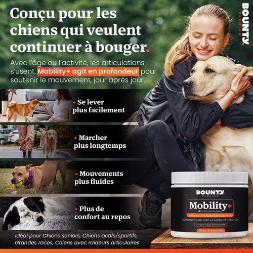 Mobility+ – Complément articulaire pour chien | Mobilité & confort des articulations