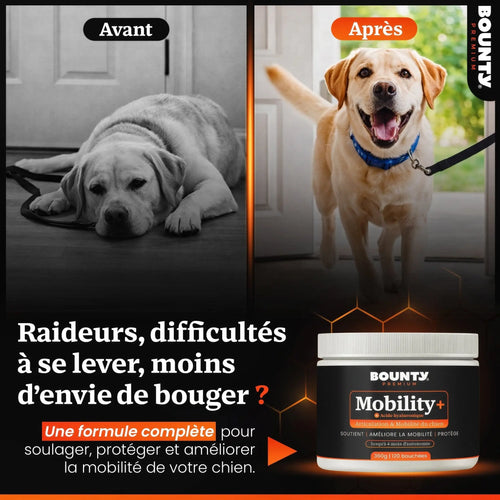 Mobility+ – Complément articulaire pour chien | Mobilité & confort des articulations